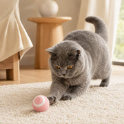 Balle interactive sauteuse pour chat Miorra - visuel produit 2
