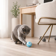 Balle interactive sauteuse pour chat Miorra - visuel produit 3