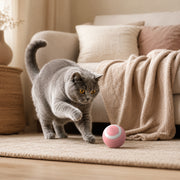 Balle interactive sauteuse pour chat Miorra - visuel produit 4