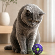 Balle lumineuse disco pour chat Miorra - visuel produit 3