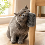 Brosse murale auto-toilettage pour chat Miorra - visuel produit 4