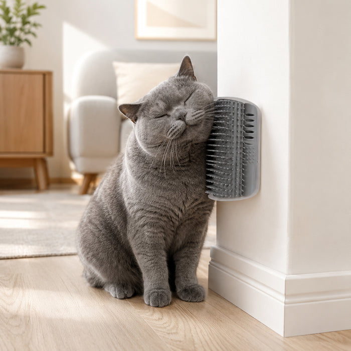Brosse murale auto-toilettage pour chat Miorra - visuel principal