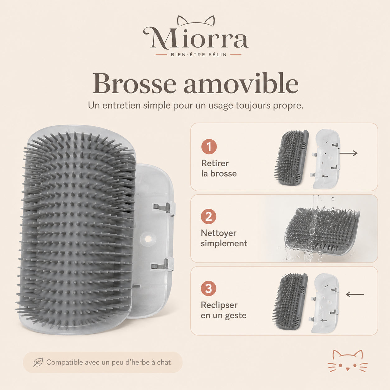 Entretien brosse amovible Miorra : retirer la brosse, nettoyer simplement, reclipser en un geste