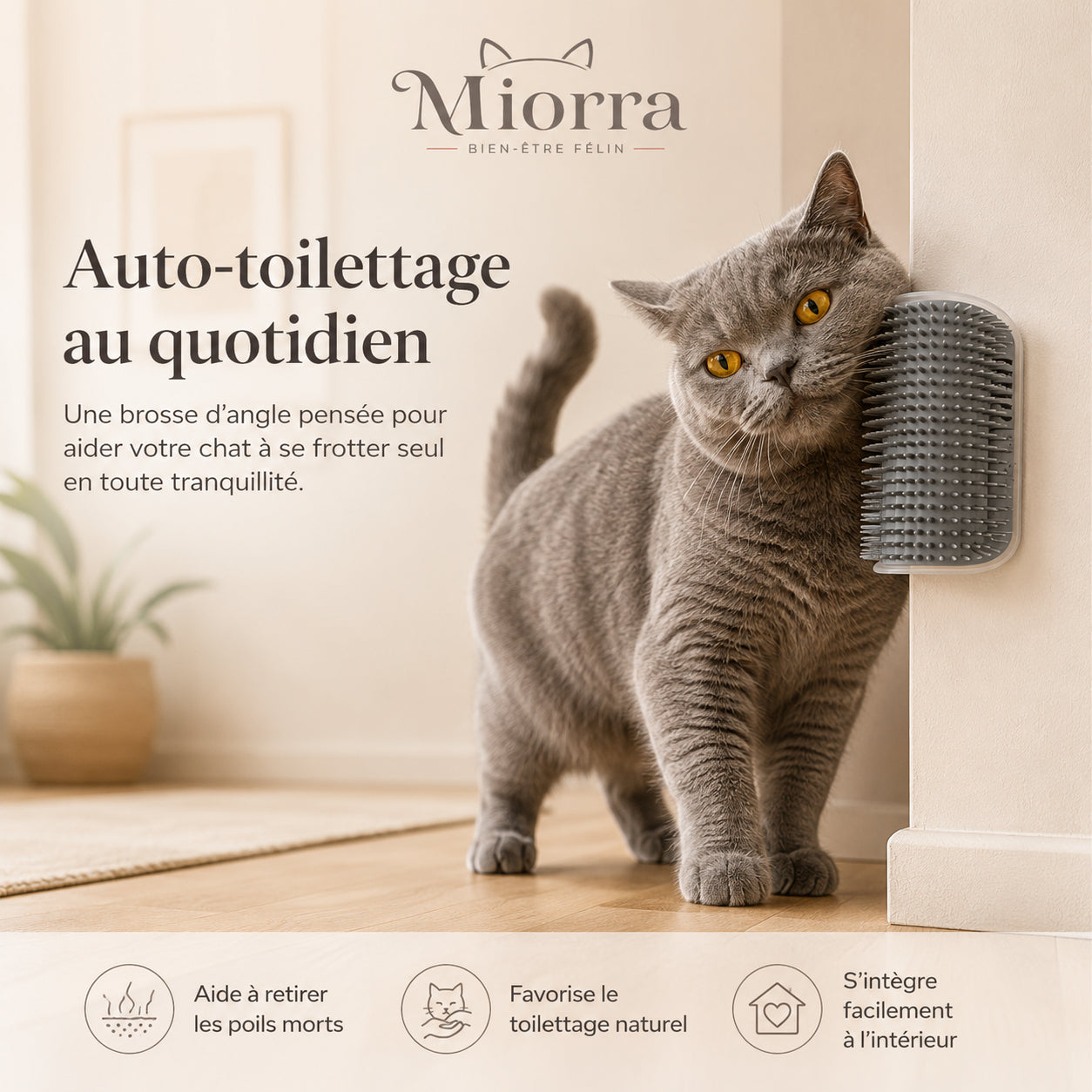 Brosse murale d'auto-toilettage pour chat Miorra - aide à retirer les poils morts, favorise le toilettage naturel