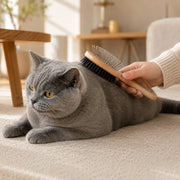 Brosse de toilettage pour chat Miorra - visuel produit 2