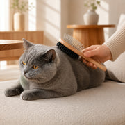 Brosse de toilettage pour chat Miorra - visuel produit 4