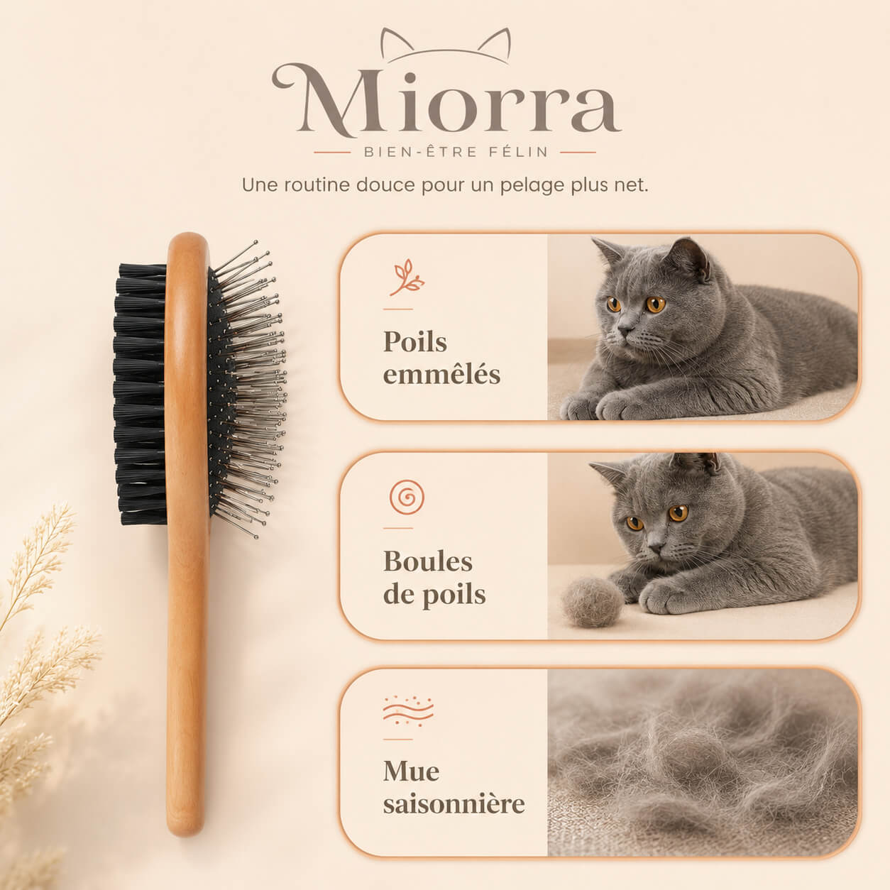 3 situations d'usage brosse Miorra : poils emmêlés, boules de poils, mue saisonnière
