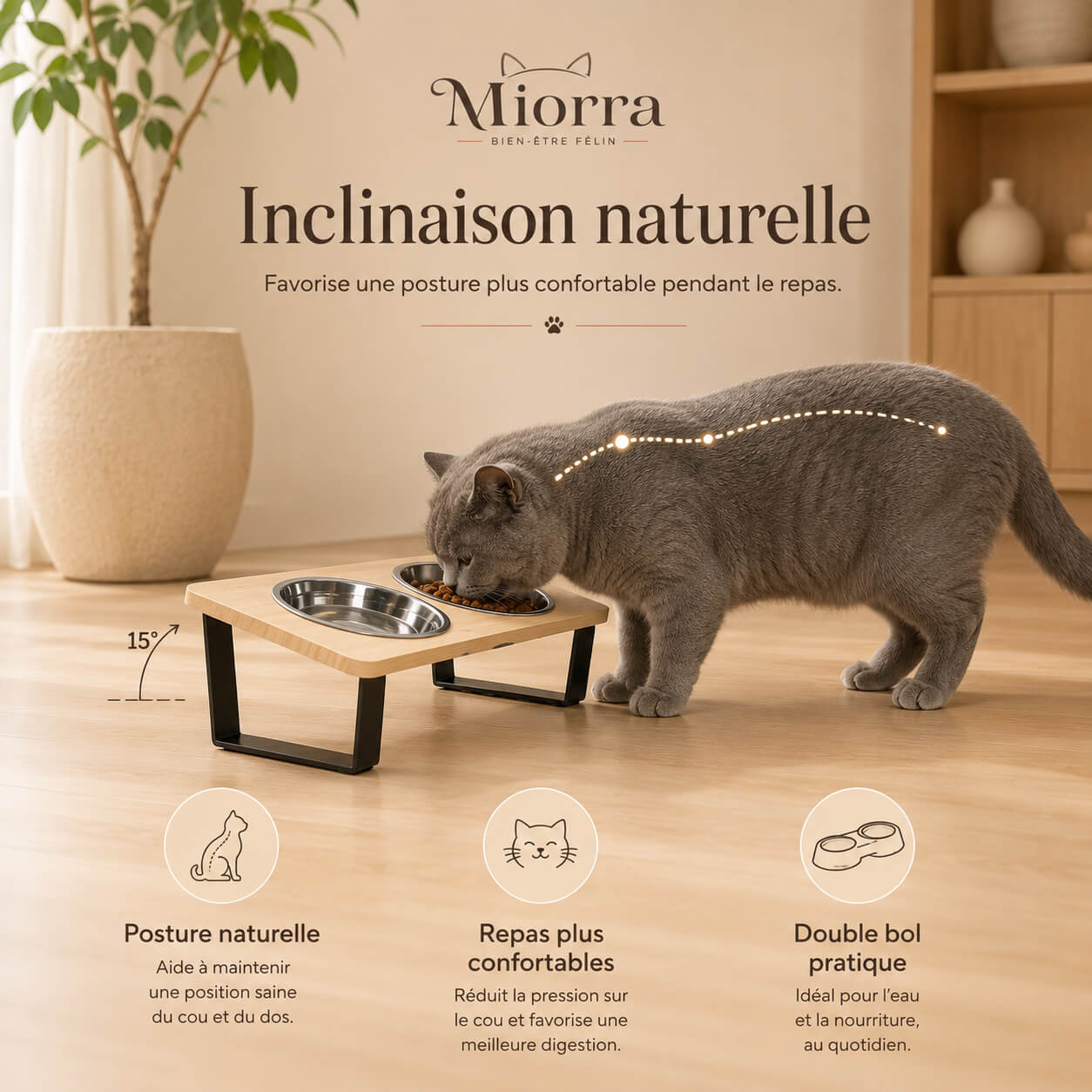 Inclinaison naturelle 15° gamelle bois Miorra - posture naturelle, repas confortables, double bol pratique