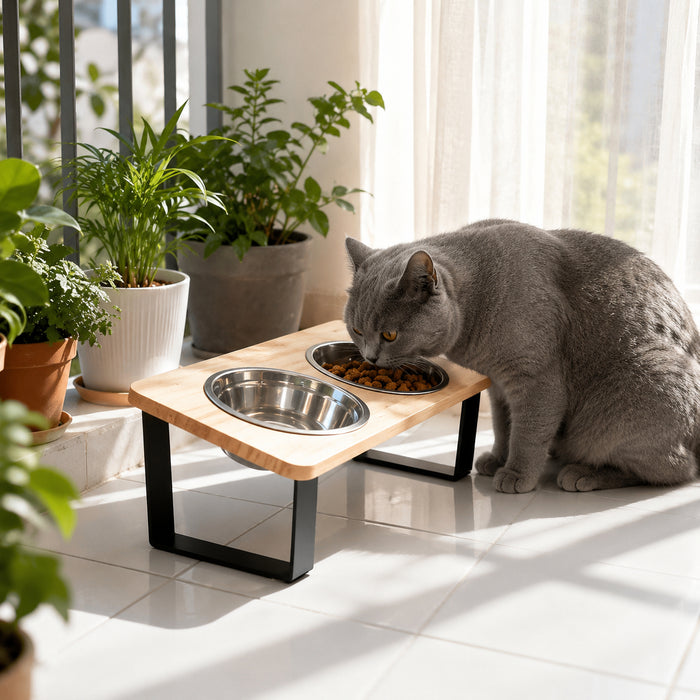 Gamelle surélevée bois pour chat Miorra - visuel principal