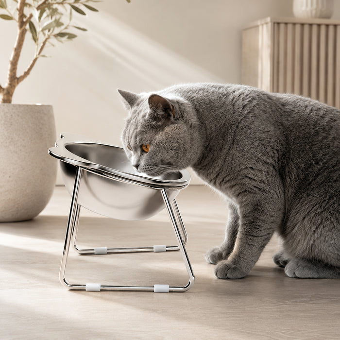 Gamelle inclinée pour chat Miorra - visuel principal