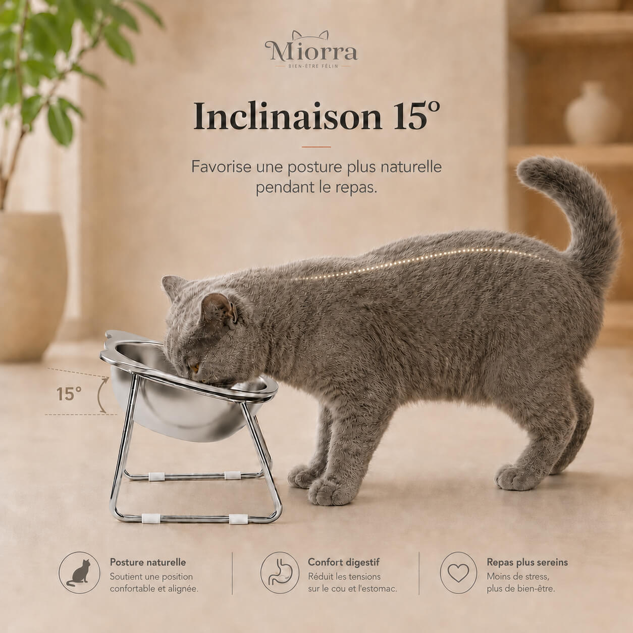 Gamelle inclinée 15° pour chat Miorra - posture naturelle, confort digestif, repas sereins