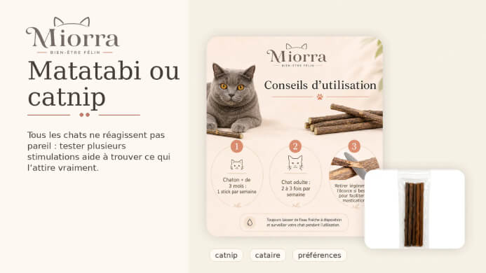 Matatabi ou catnip - conseils d'utilisation, fr&eacute;quence selon l'&acirc;ge, toujours laisser de l'eau fra&icirc;che