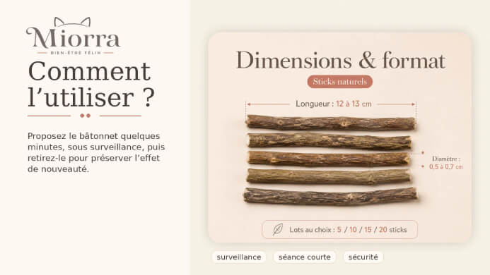 Comment utiliser le matatabi - sticks naturels 12&ndash;13 cm, lots 5/10/15/20, surveillance, s&eacute;ance courte