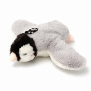 Oiseau interactif rechargeable pour chat Miorra