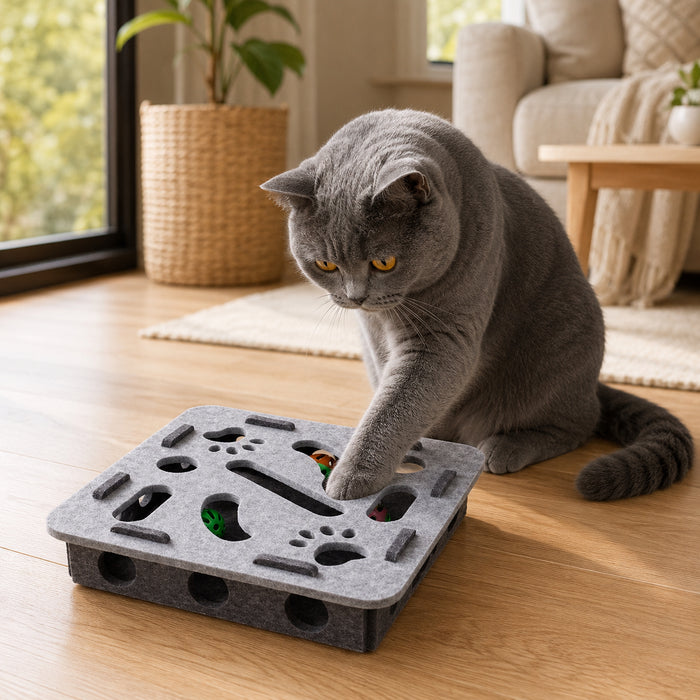 Jouet puzzle interactif pour chat Miorra - visuel principal