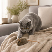 Souris sonore pour chat Miorra - visuel produit 3
