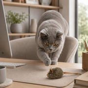 Souris sonore pour chat Miorra - visuel produit 4
