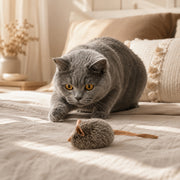 Souris sonore pour chat Miorra - visuel produit 5