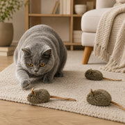 Souris sonore pour chat Miorra - visuel produit 2