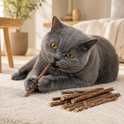 Sticks naturels pour chat Miorra - visuel produit 3