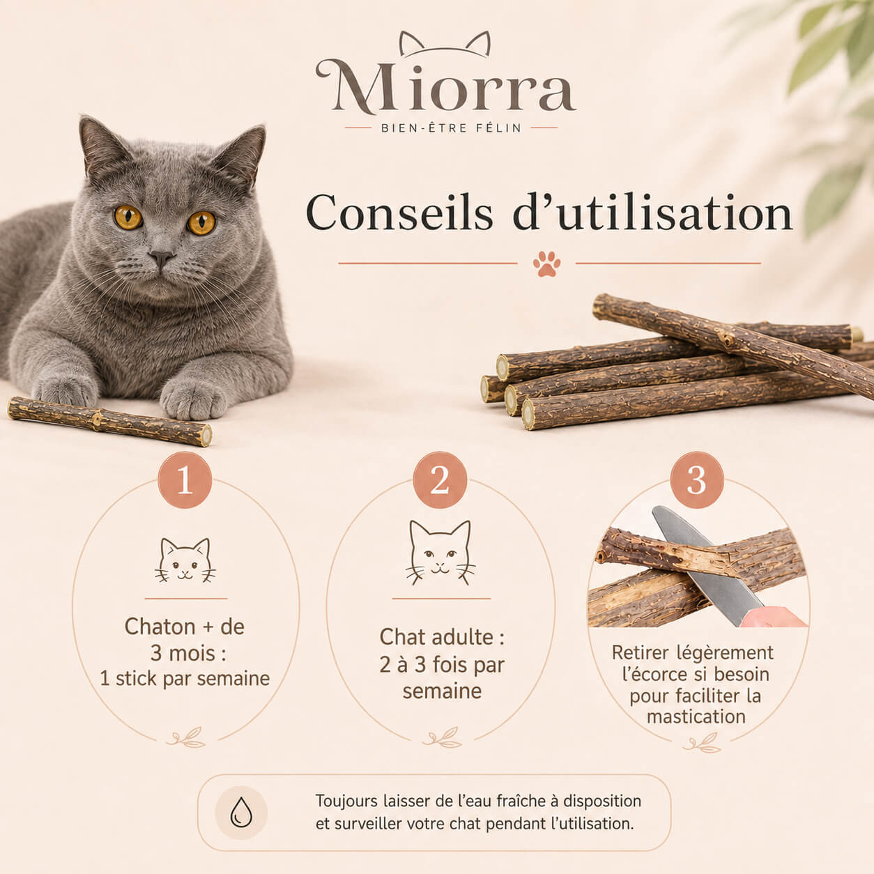 Conseils d'utilisation sticks matatabi Miorra : fréquence selon l'âge, retirer l'écorce si besoin, eau fraîche à disposition