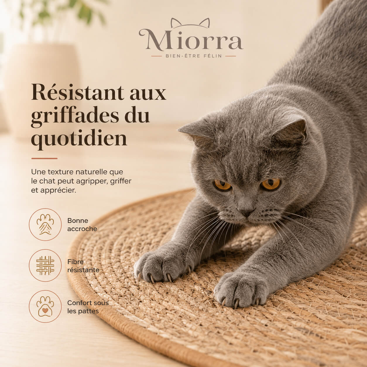 Tapis griffoir naturel pour chat Miorra - résistant aux griffades, bonne accroche, fibre résistante, confort sous les pattes