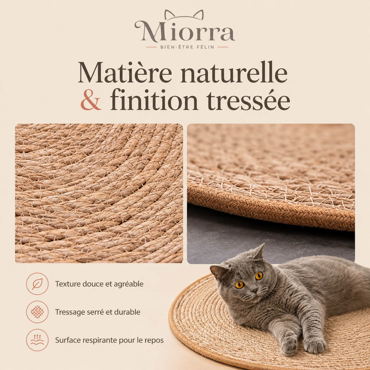 Matière naturelle et finition tressée tapis Miorra - texture douce et agréable, tressage serré durable, surface respirante