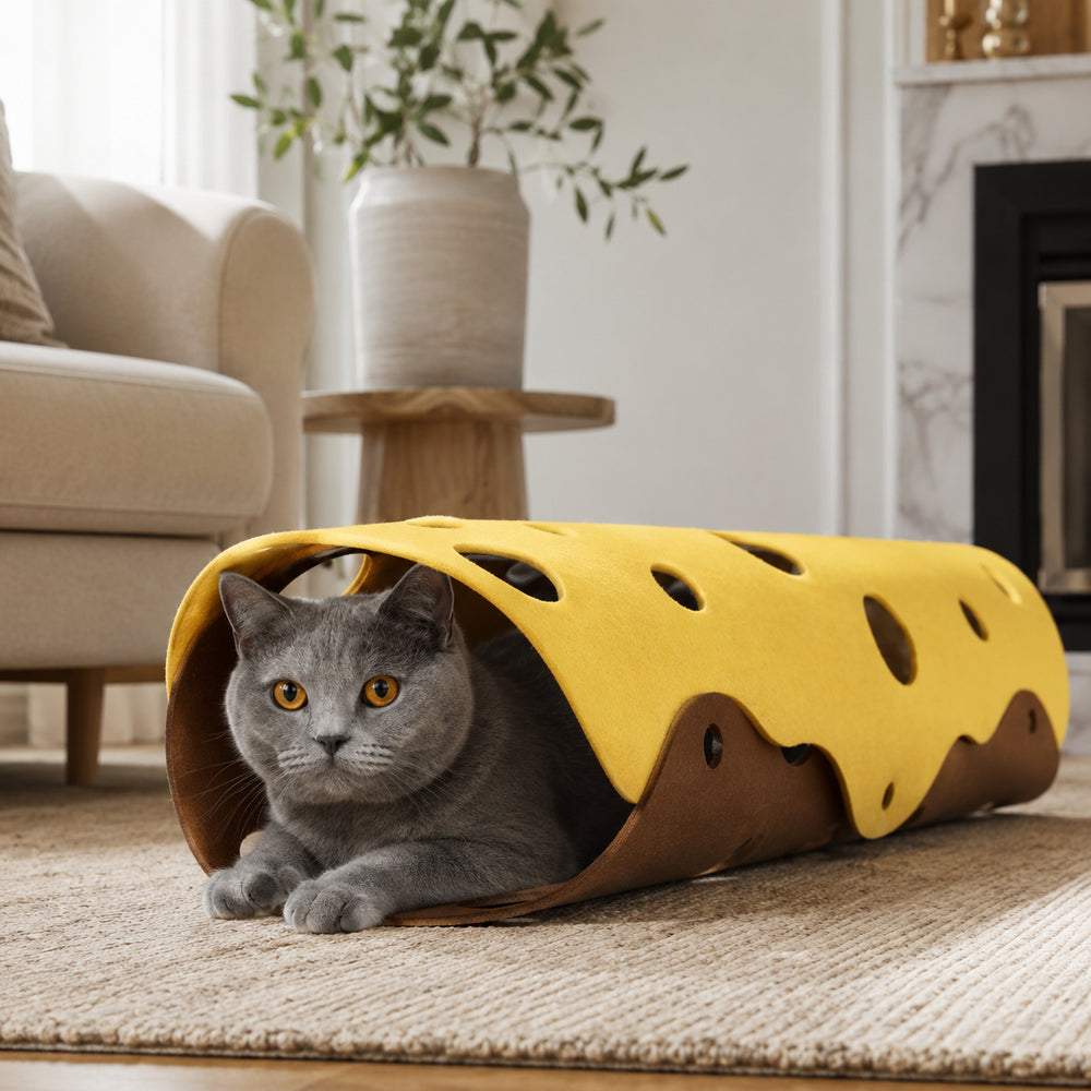 Tunnel couchage pour chat Miorra - visuel principal