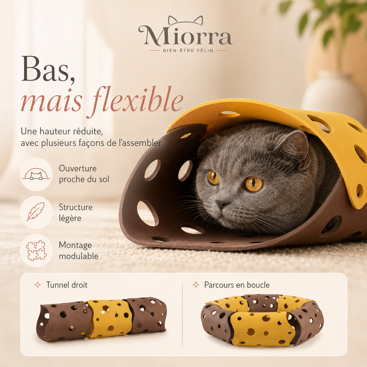 Tunnel pour chat Miorra - profil bas et flexible, modulable en tunnel droit ou parcours en boucle