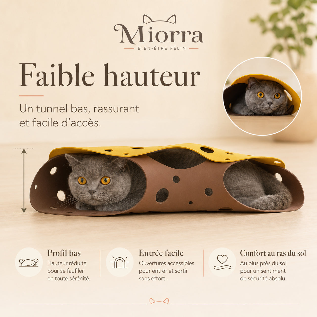 Tunnel pour chat Miorra faible hauteur - profil bas, entrée facile, confort au ras du sol